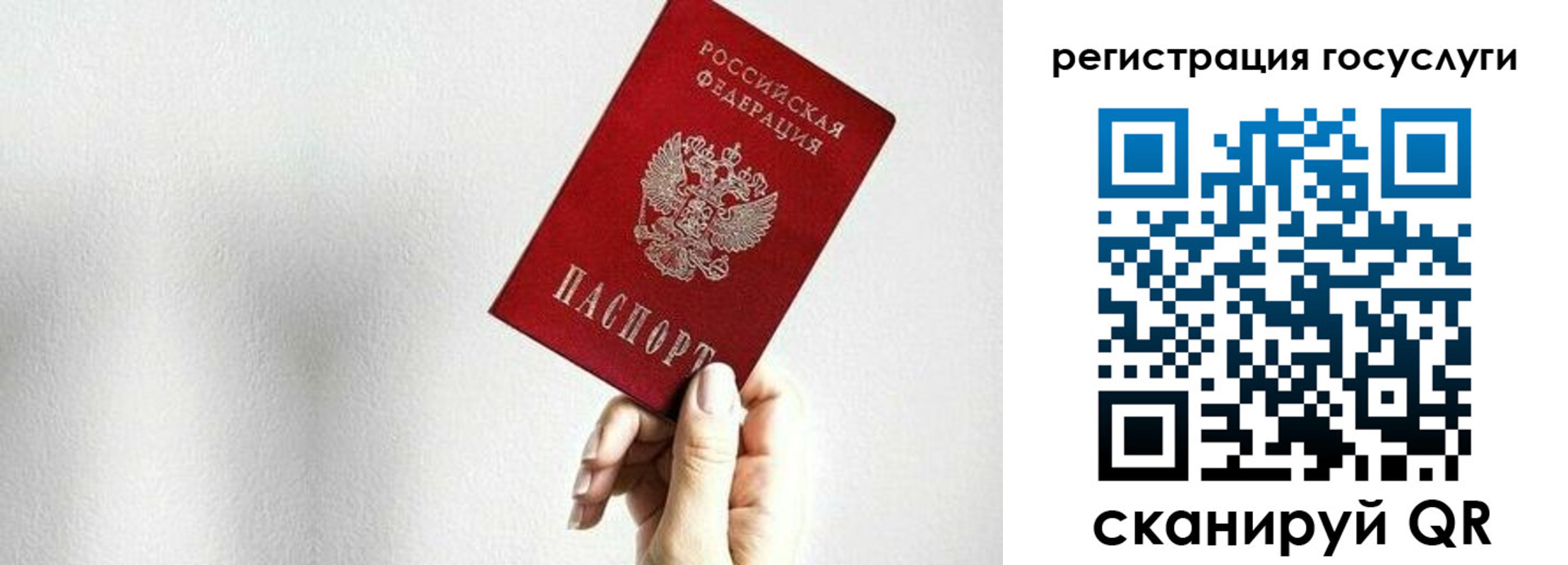 прописка гарантия в Чайковском